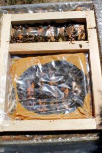 FendPoll méhtakarmány a kaptárban